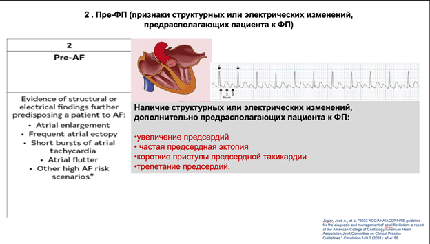 Понимание мерцательной аритмии: механизмы, триггеры и структурные изменения и Лечение