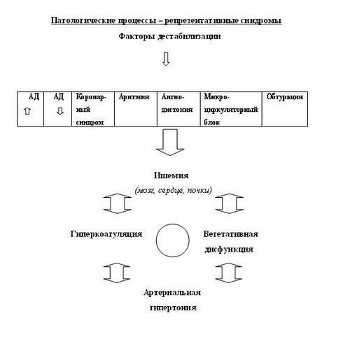 Концепция гемодинамических кризов.JPG